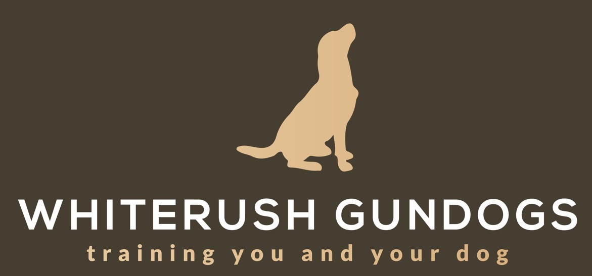 Whiterush Gundogs